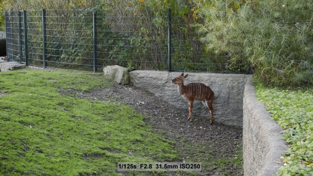 Testbild Panasonic Lumix LX 100 (Bild: Andreas Donath)