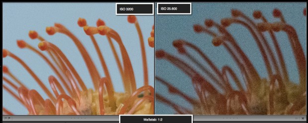 Unser Detailvergleich mit vergrößerten Bildausschnitten (1:2) zeigt, dass das CM1 bei wenig Licht noch sehr gute Bilder macht. (Foto: Petra Vogt)
