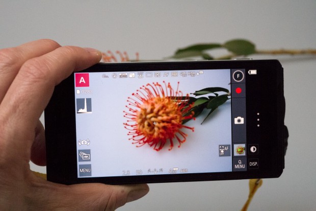Die Einstellungsmöglichkeiten der Kamera-App entsprechen denen einer leistungsfähigen Kamera. (Foto: Petra Vogt)