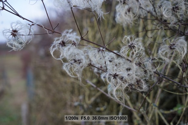 Sony Alpha 7 II (Bild: Andreas Donath)