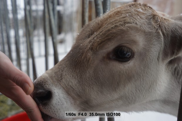 Sony Alpha 7 II (Bild: Andreas Donath)