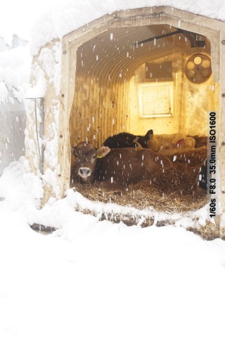 Sony Alpha 7 II (Bild: Andreas Donath)