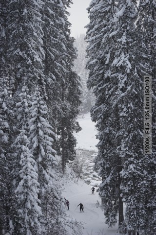 Sony Alpha 7 II (Bild: Andreas Donath)