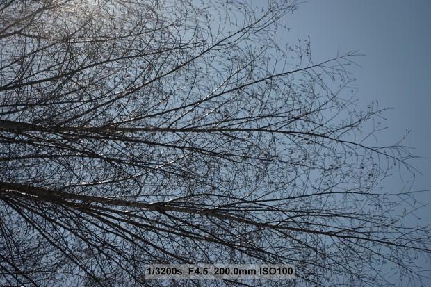 Sony Alpha 7 II (Bild: Andreas Donath)