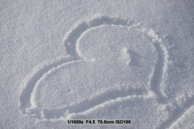 Sony Alpha 7 II (Bild: Andreas Donath)