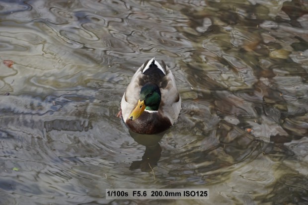 Sony Alpha 7 II (Bild: Andreas Donath)