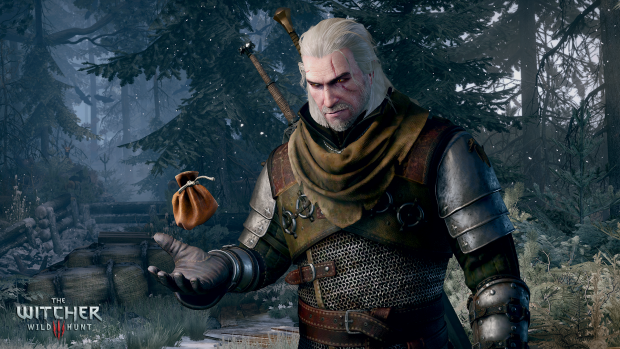 The Witcher 3 (Bild: CD Projekt Red)