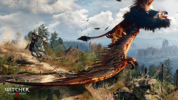 The Witcher 3 (Bild: CD Projekt Red)