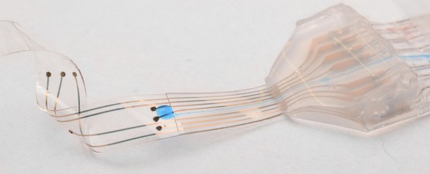 E-Dura ist ein Neuro-Impantat ... (Foto: Alain Herzog/EPFL)