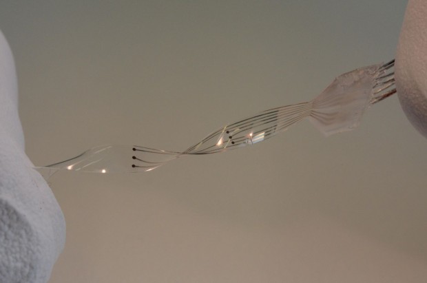 Dabei verliert es seine Funktionsfähigkeit nicht. (Foto: Alain Herzog/EPFL)