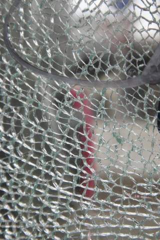 (Bild: Andreas Donath)