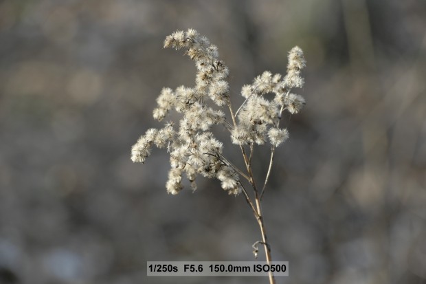 (Bild: Andreas Donath)