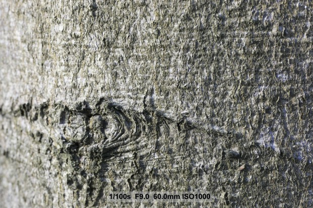 (Bild: Andreas Donath)