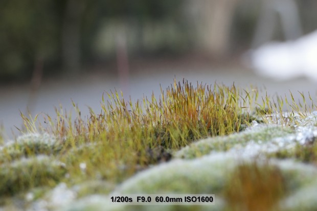 (Bild: Andreas Donath)