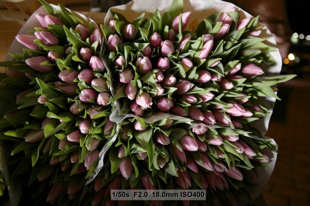 (Bild: Andreas Donath)