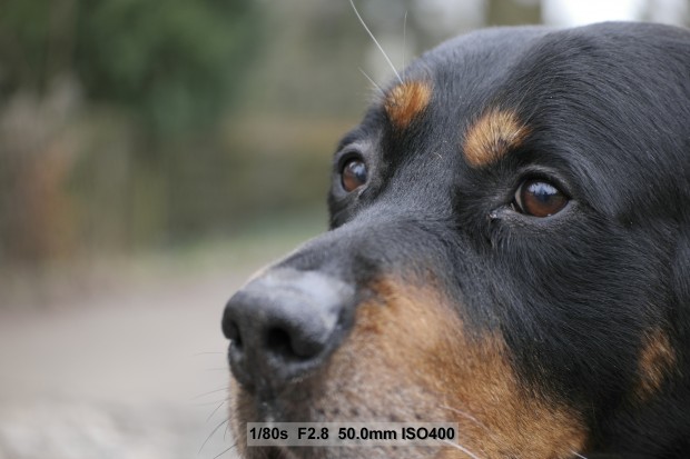 (Bild: Andreas Donath)