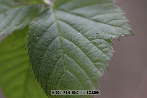 (Bild: Andreas Donath)