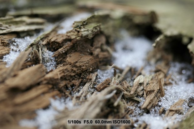 (Bild: Andreas Donath)