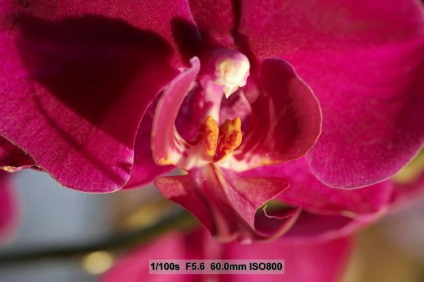 (Bild: Andreas Donath)