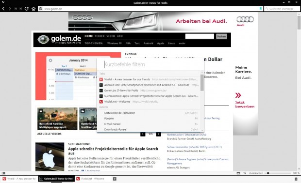 Vivaldis Kurzbefehl-Übersicht (Screenshot: Golem.de)