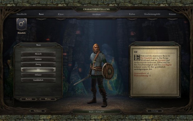 Die Charaktergenerierung bietet umfangreiche M&ouml;glichkeiten. (Screenshot: Golem.de)