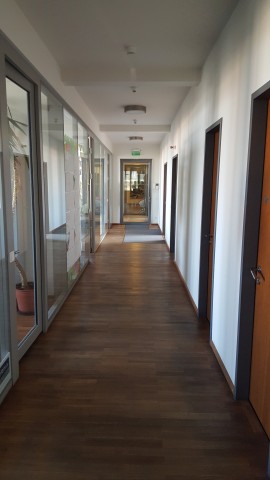 Auch bei Innenraumaufnahmen können wir erst in sehr dunklen Situationen ein unangenehmes Rauschen entdecken. (Bild: Tobias Költzsch/Golem.de)