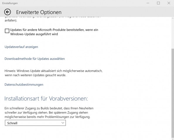 Einstellungen für den Download von frühen Previews (Bild: Golem.de)