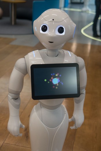 Pepper roboter programmieren