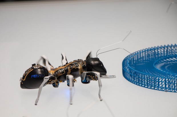 Der filigrane Roboter wird von piezoelektrischen Biegeelementen angetrieben. (Foto: Werner Pluta/Golem.de)