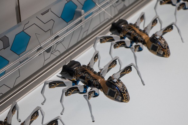 Die Fühler der Roboameisen dienen zum Aufladen der Akkus. (Foto: Werner Pluta/Golem.de)