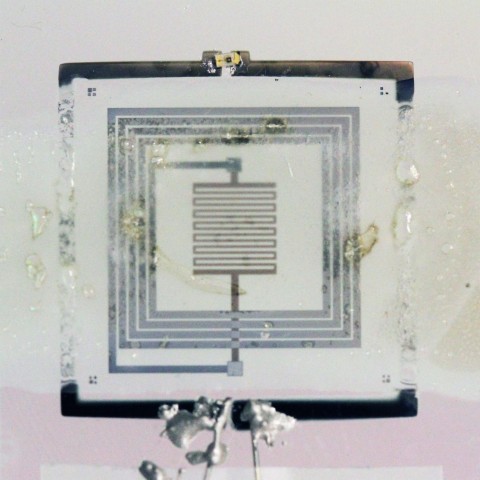 Selbstzerst&ouml;rende Elektronik - die S&auml;ure beginnt ihr zerst&ouml;rerisches Werk.  (Bild: Uni Illinois)