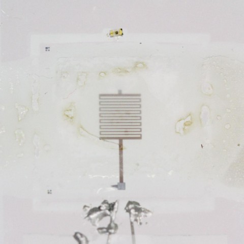 Der Schaltkreis wurde aufgel&ouml;st - zur&uuml;ck bleiben nur wenige Komponenten. (Bild: Uni Illinois)