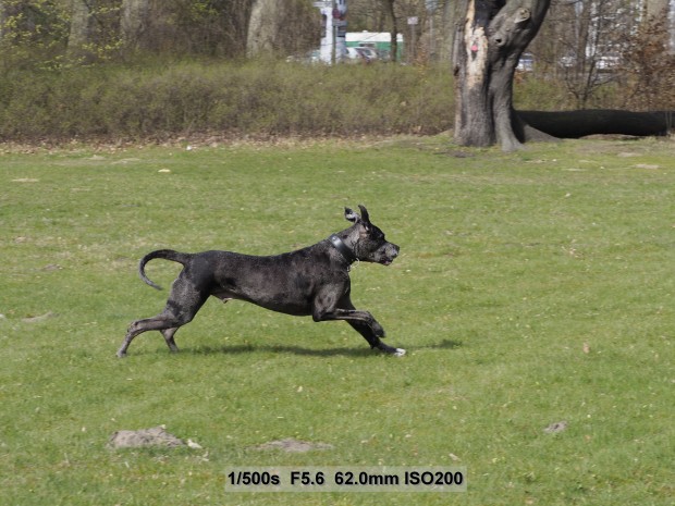 Testbild Olympus OM-D E-M5 Mark II (Bild: Andreas Donath)