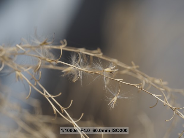 Testbild Olympus OM-D E-M5 Mark II (Bild: Andreas Donath)