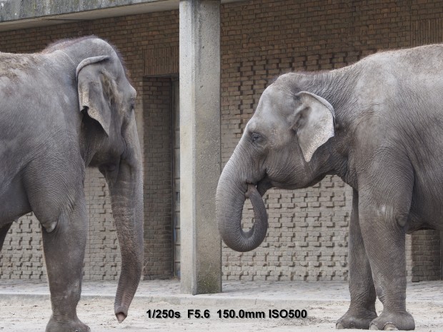 Testbild Olympus OM-D E-M5 Mark II (Bild: Andreas Donath)