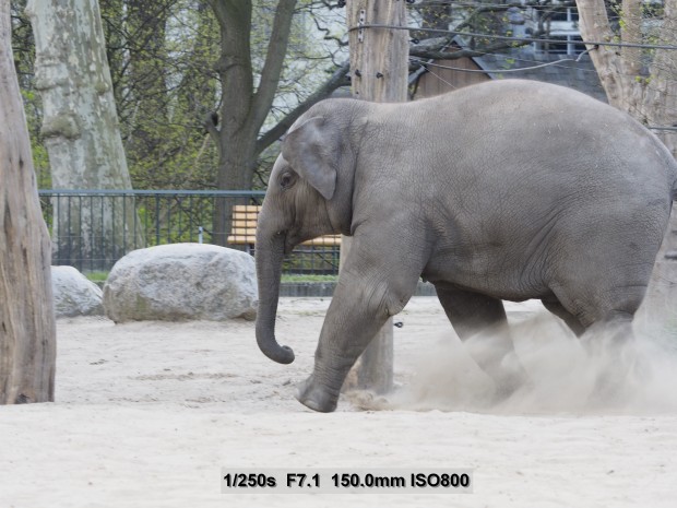 Testbild Olympus OM-D E-M5 Mark II (Bild: Andreas Donath)