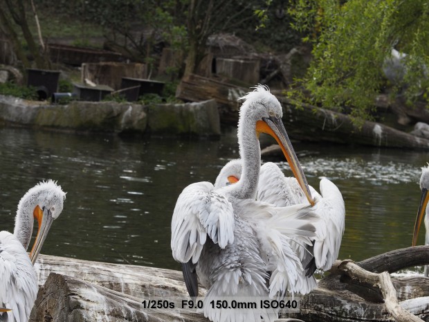 Testbild Olympus OM-D E-M5 Mark II (Bild: Andreas Donath)