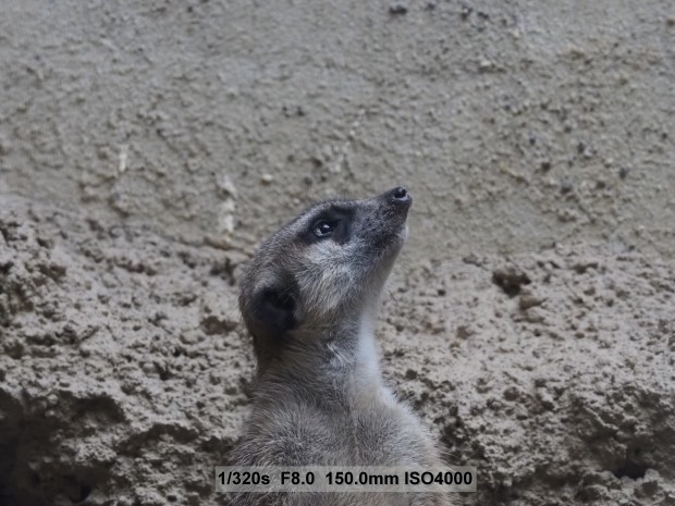 Testbild Olympus OM-D E-M5 Mark II (Bild: Andreas Donath)