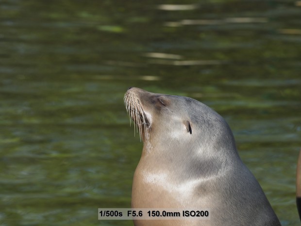 Testbild Olympus OM-D E-M5 Mark II (Bild: Andreas Donath)