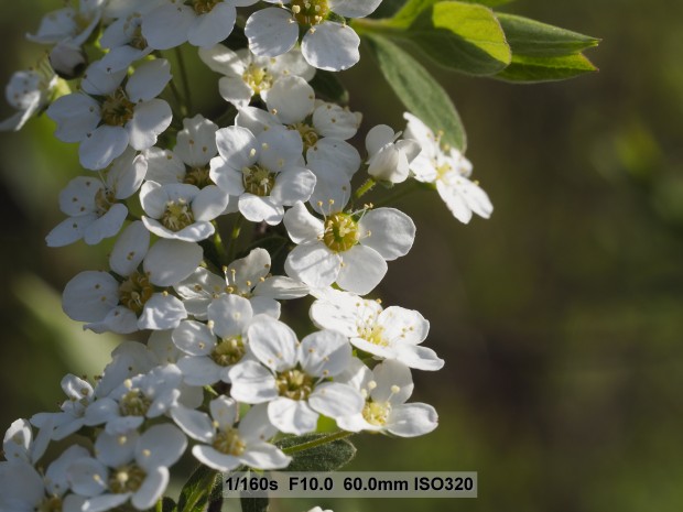 Testbild Olympus OM-D E-M5 Mark II (Bild: Andreas Donath)