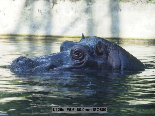 Testbild Olympus OM-D E-M5 Mark II (Bild: Andreas Donath)