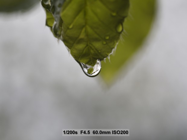 Testbild Olympus OM-D E-M5 Mark II (Bild: Andreas Donath)