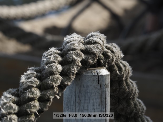 Testbild Olympus OM-D E-M5 Mark II (Bild: Andreas Donath)