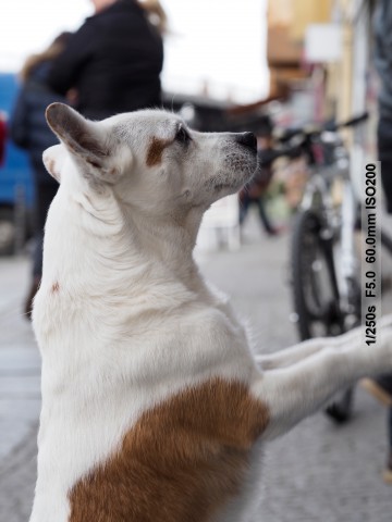 Testbild Olympus OM-D E-M5 Mark II (Bild: Andreas Donath)