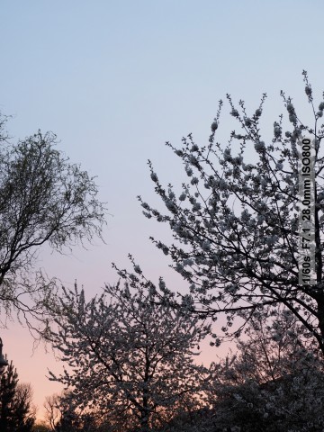 Testbild Olympus OM-D E-M5 Mark II (Bild: Andreas Donath)