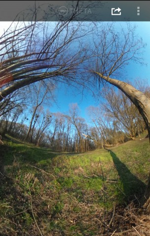 Die App dient auch als Bildbetrachter. (Screenshot: Golem.de)