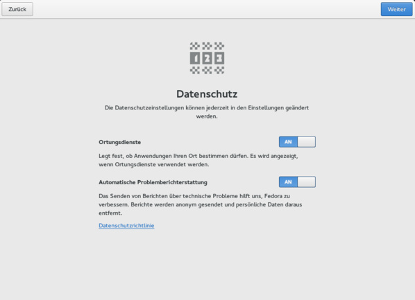 Bei der Einrichtung werden Optionen zum Datenschutz abgefragt. (Screenshot: Ferdinand Thommes)