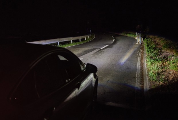 Camera-Based Advanced Front Lighting System (Bild: Ford)