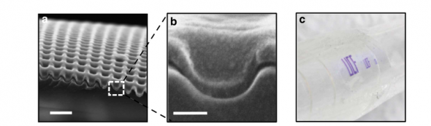 Eierschalenstruktur der Metallschicht, sichtbar mit dem Rasterelektronenmikroskop (Bild: University of Central Florida)
