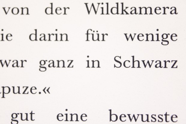 Das Schriftbild des Kindle Voyage (Bild: Martin Wolf/Golem.de)